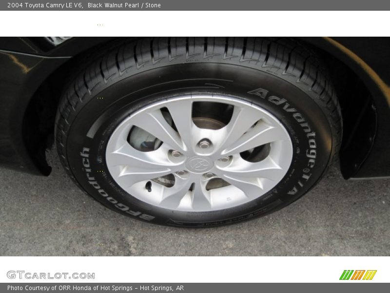 Black Walnut Pearl / Stone 2004 Toyota Camry LE V6