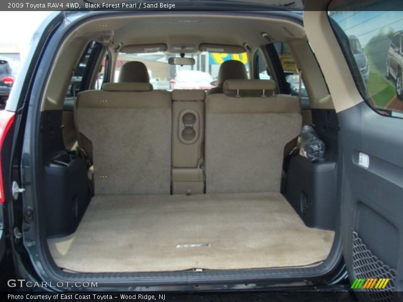 Black Forest Pearl / Sand Beige 2009 Toyota RAV4 4WD