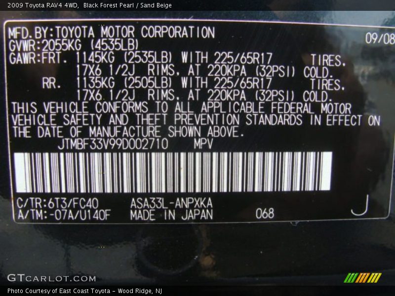 Black Forest Pearl / Sand Beige 2009 Toyota RAV4 4WD