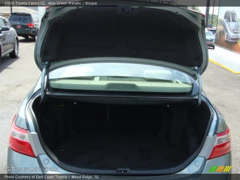 Aloe Green Metallic / Bisque 2009 Toyota Camry LE