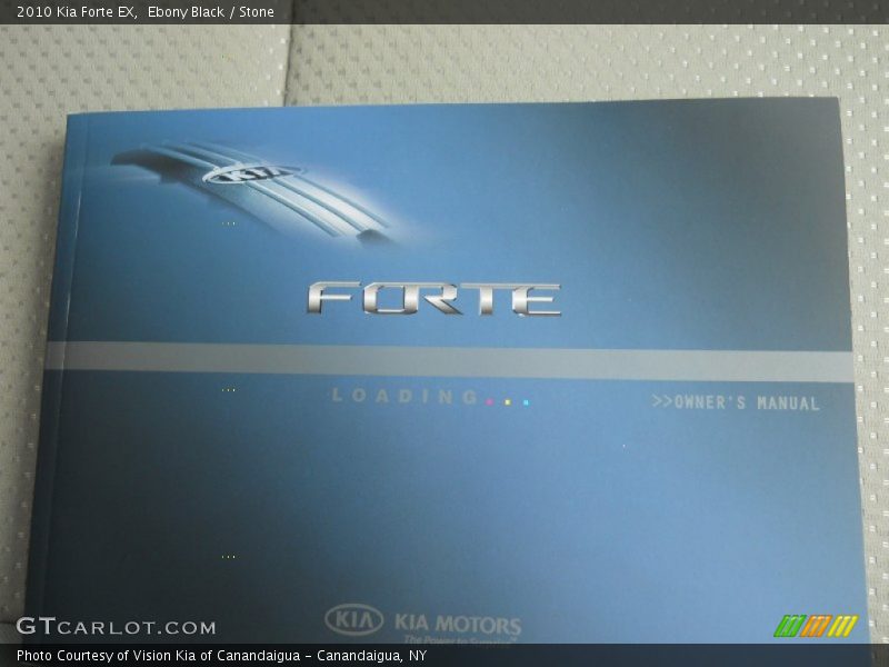 Ebony Black / Stone 2010 Kia Forte EX