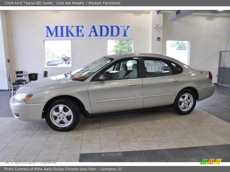 Gold Ash Metallic / Medium Parchment 2004 Ford Taurus SES Sedan
