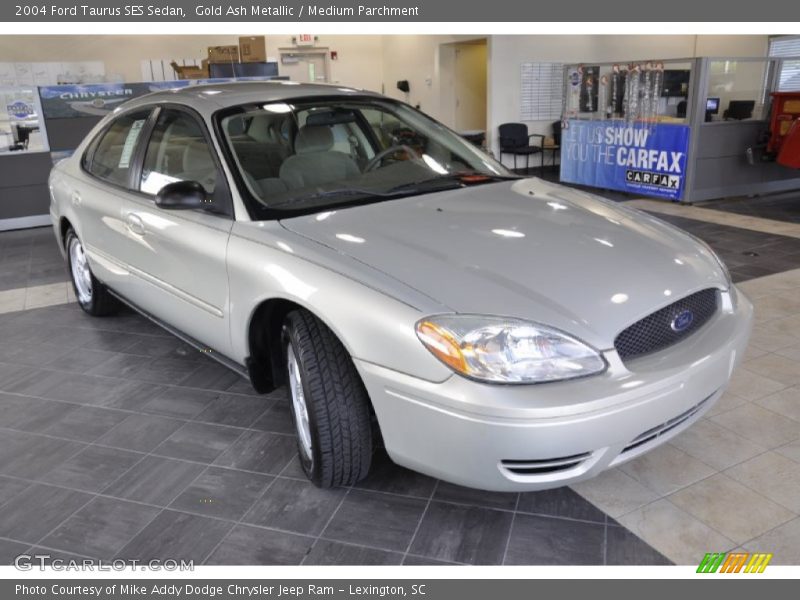 Gold Ash Metallic / Medium Parchment 2004 Ford Taurus SES Sedan