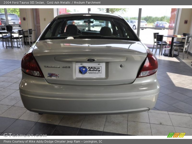 Gold Ash Metallic / Medium Parchment 2004 Ford Taurus SES Sedan