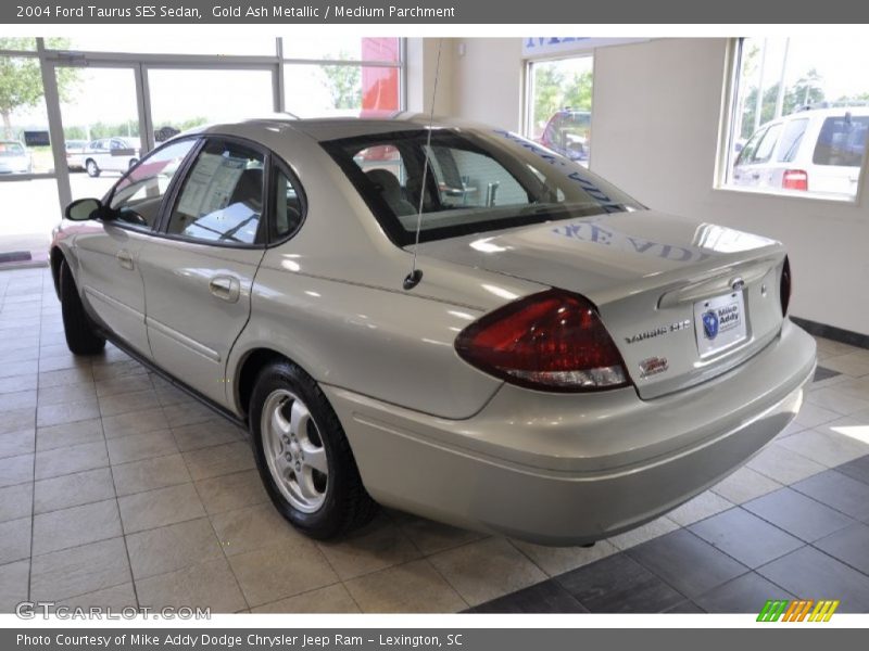 Gold Ash Metallic / Medium Parchment 2004 Ford Taurus SES Sedan
