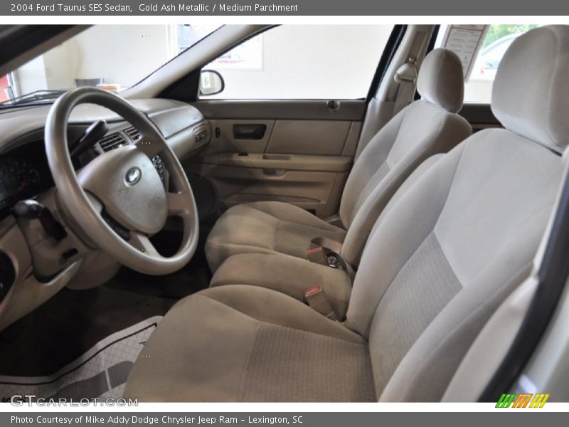 Gold Ash Metallic / Medium Parchment 2004 Ford Taurus SES Sedan