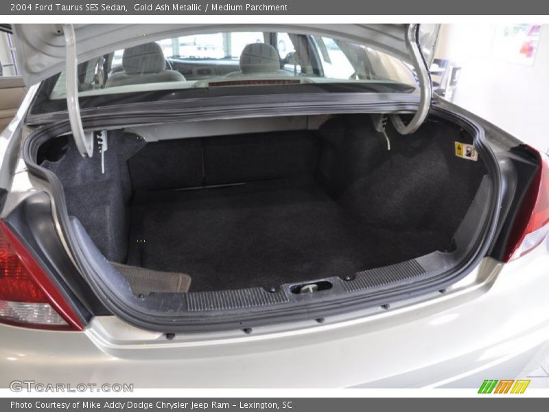 Gold Ash Metallic / Medium Parchment 2004 Ford Taurus SES Sedan