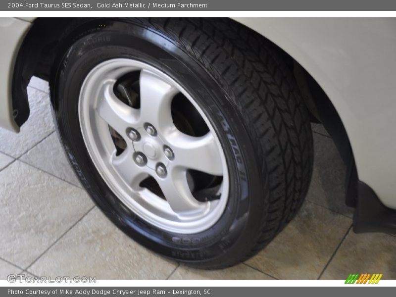 Gold Ash Metallic / Medium Parchment 2004 Ford Taurus SES Sedan