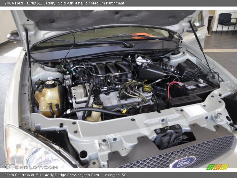 Gold Ash Metallic / Medium Parchment 2004 Ford Taurus SES Sedan