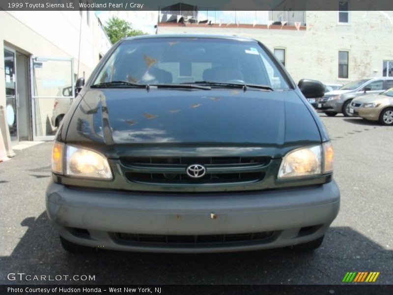 Woodland Pearl / Gray 1999 Toyota Sienna LE