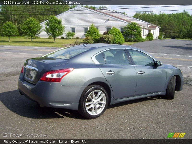 Ocean Gray / Caffe Latte 2010 Nissan Maxima 3.5 SV