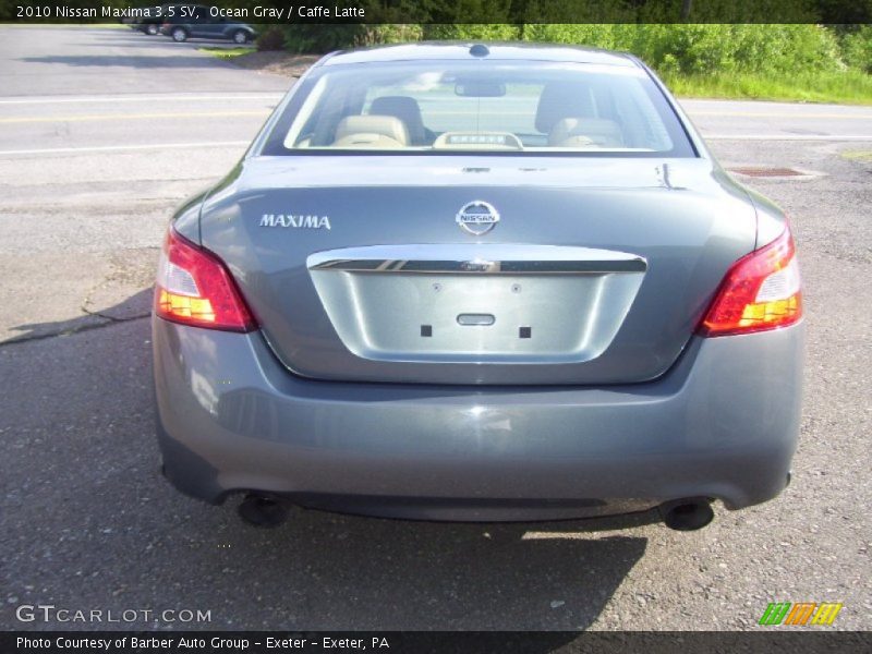 Ocean Gray / Caffe Latte 2010 Nissan Maxima 3.5 SV