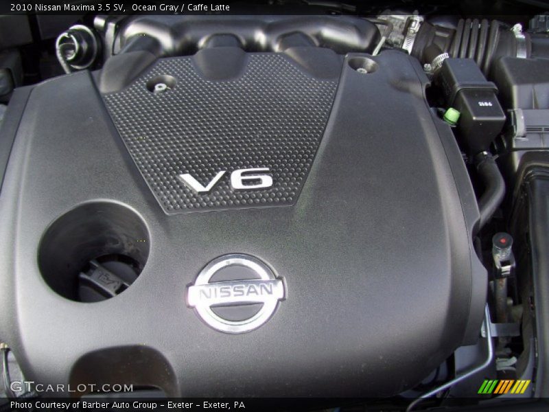 Ocean Gray / Caffe Latte 2010 Nissan Maxima 3.5 SV