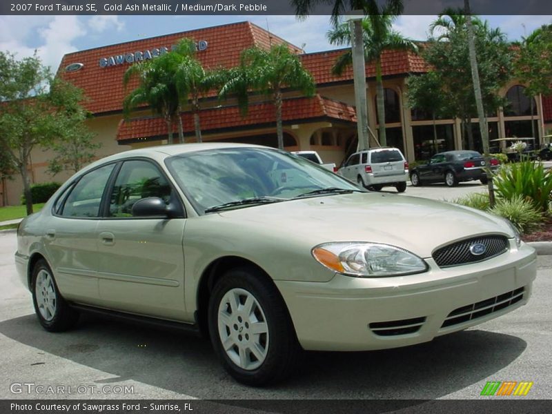 Gold Ash Metallic / Medium/Dark Pebble 2007 Ford Taurus SE