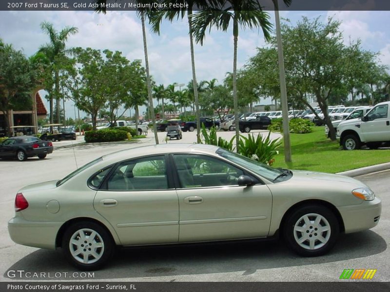 Gold Ash Metallic / Medium/Dark Pebble 2007 Ford Taurus SE