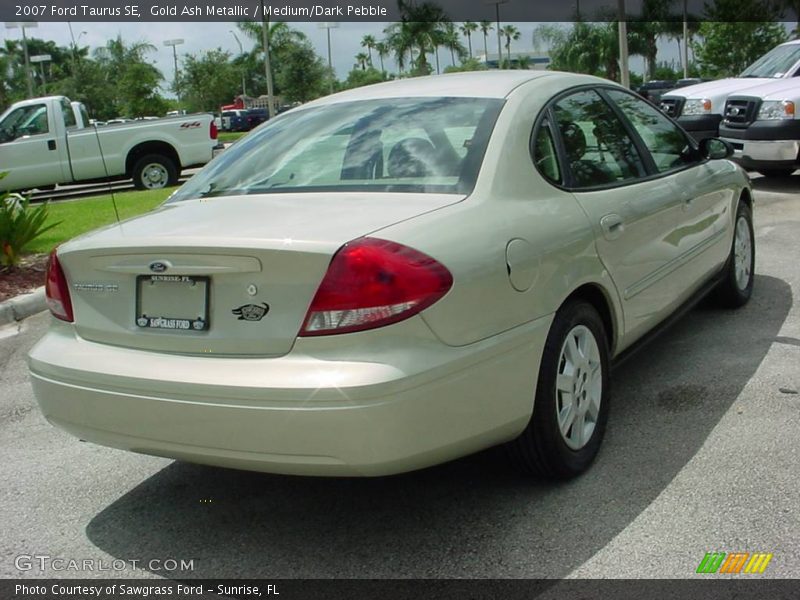 Gold Ash Metallic / Medium/Dark Pebble 2007 Ford Taurus SE