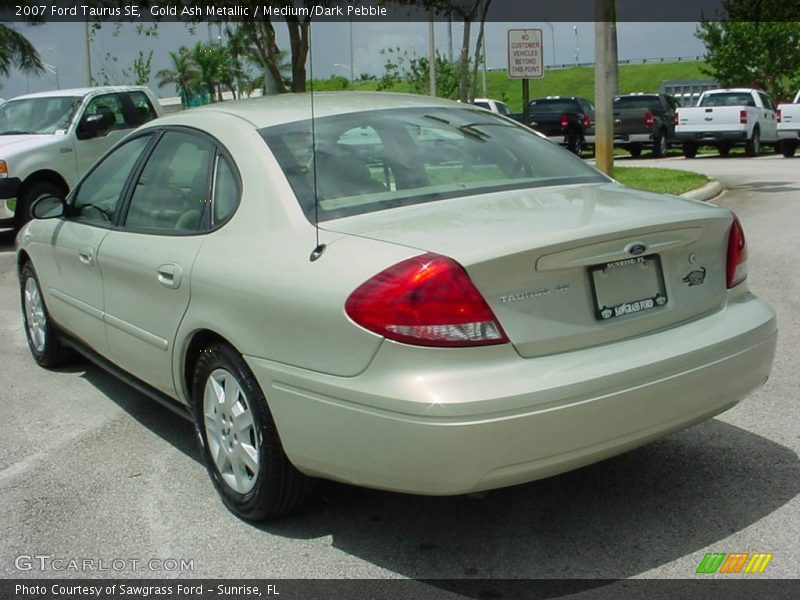 Gold Ash Metallic / Medium/Dark Pebble 2007 Ford Taurus SE