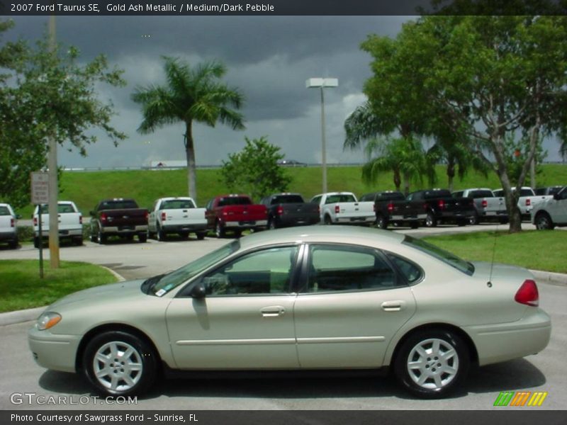 Gold Ash Metallic / Medium/Dark Pebble 2007 Ford Taurus SE