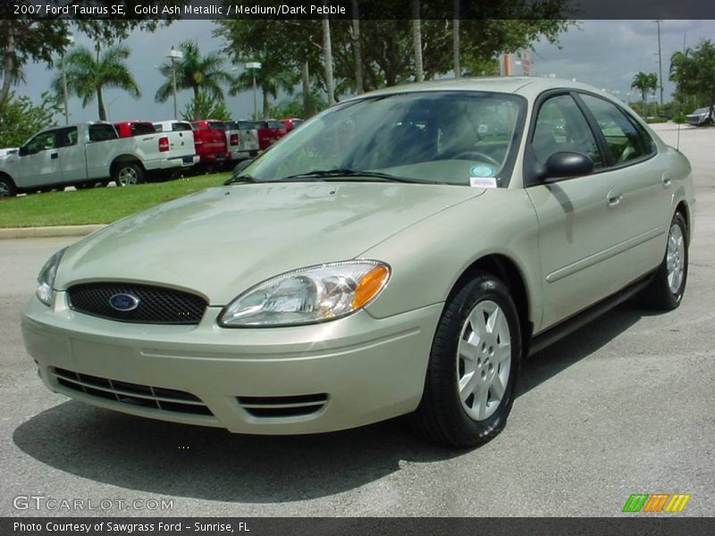 Gold Ash Metallic / Medium/Dark Pebble 2007 Ford Taurus SE