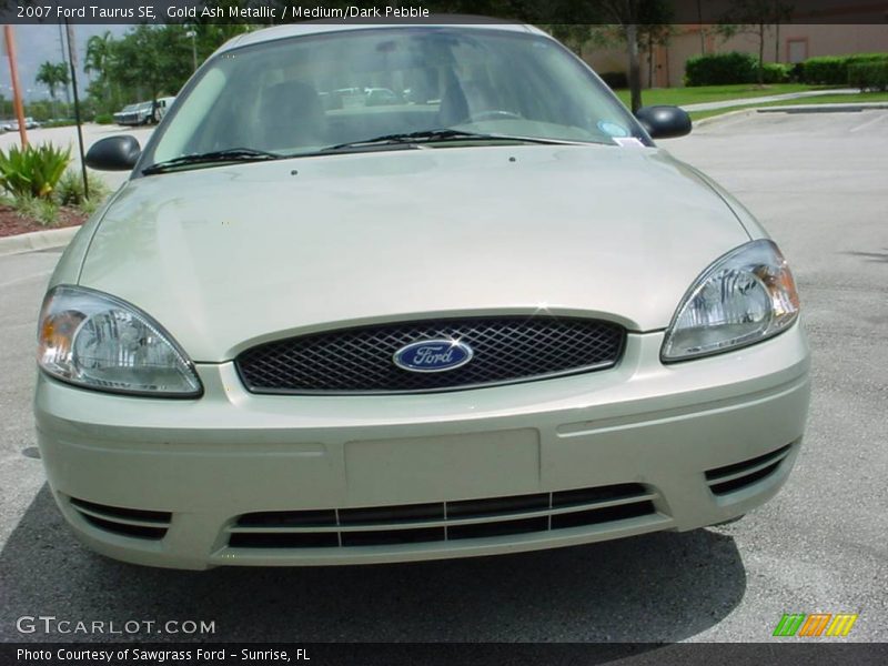 Gold Ash Metallic / Medium/Dark Pebble 2007 Ford Taurus SE