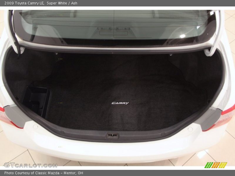 Super White / Ash 2009 Toyota Camry LE
