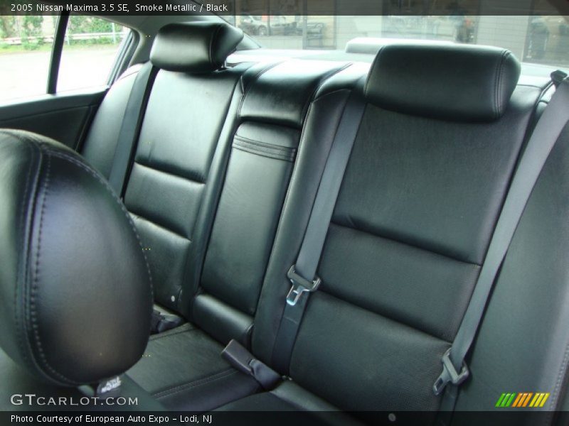 Smoke Metallic / Black 2005 Nissan Maxima 3.5 SE