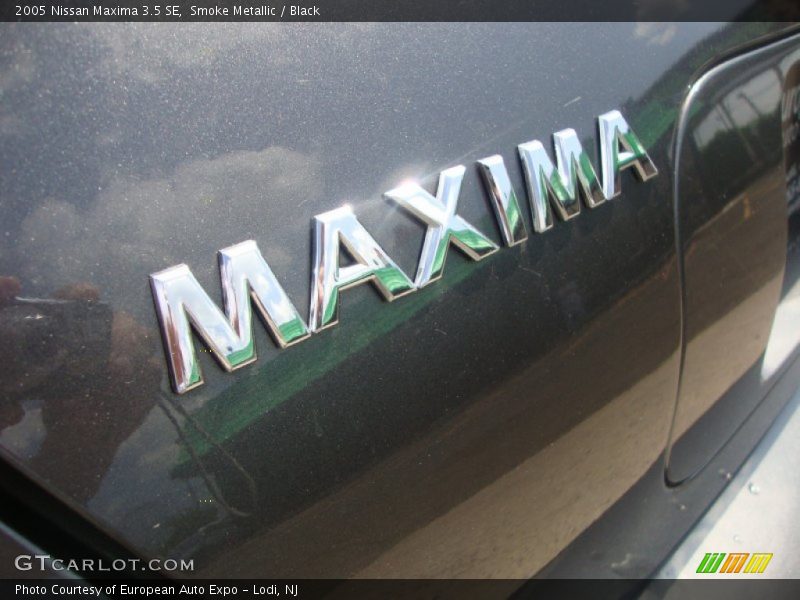 Smoke Metallic / Black 2005 Nissan Maxima 3.5 SE
