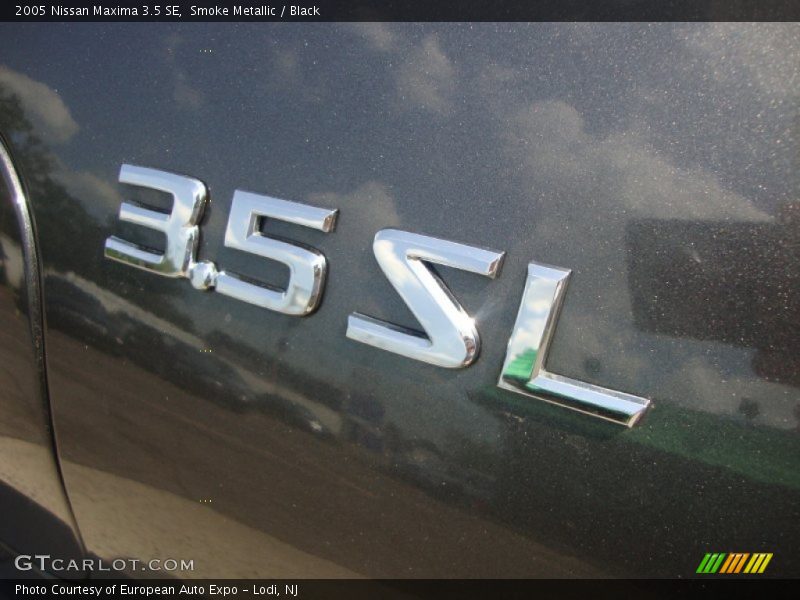Smoke Metallic / Black 2005 Nissan Maxima 3.5 SE