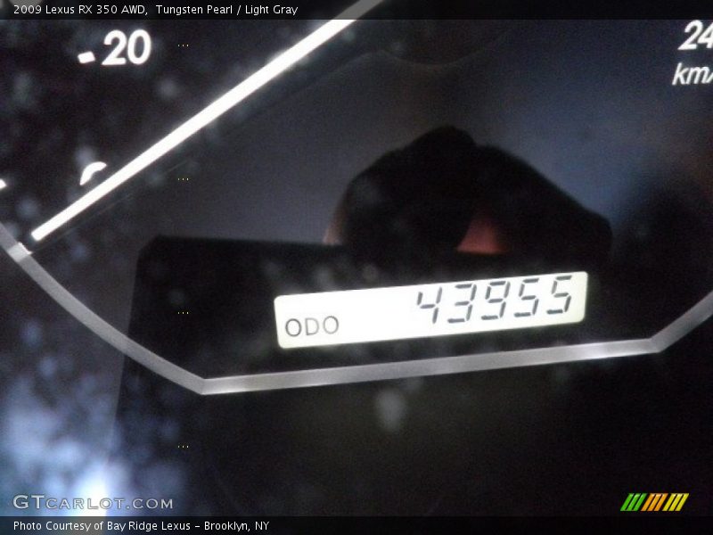 Tungsten Pearl / Light Gray 2009 Lexus RX 350 AWD