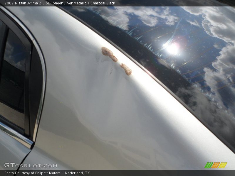 Sheer Silver Metallic / Charcoal Black 2002 Nissan Altima 2.5 SL