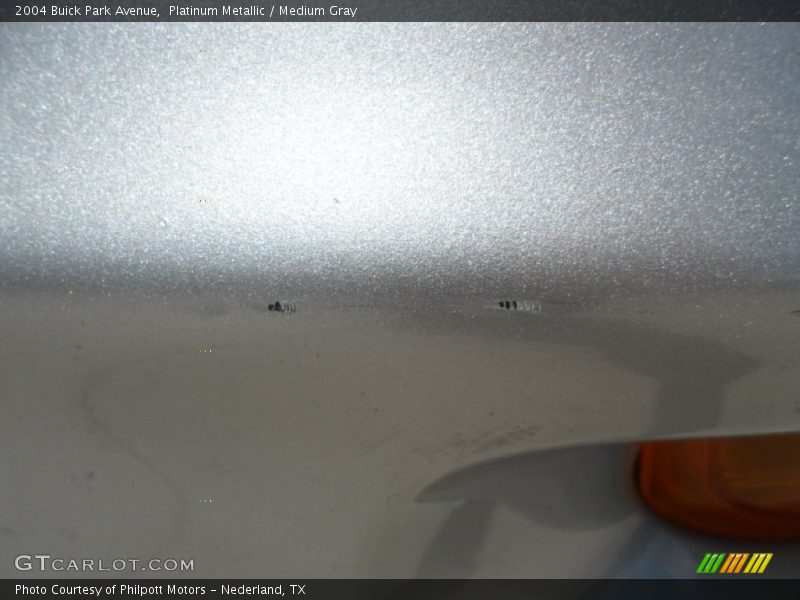 Platinum Metallic / Medium Gray 2004 Buick Park Avenue