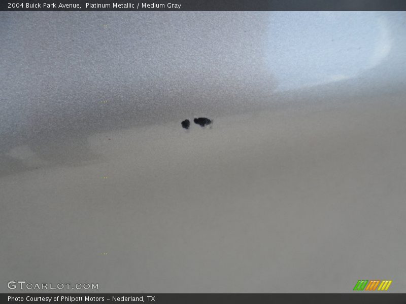 Platinum Metallic / Medium Gray 2004 Buick Park Avenue