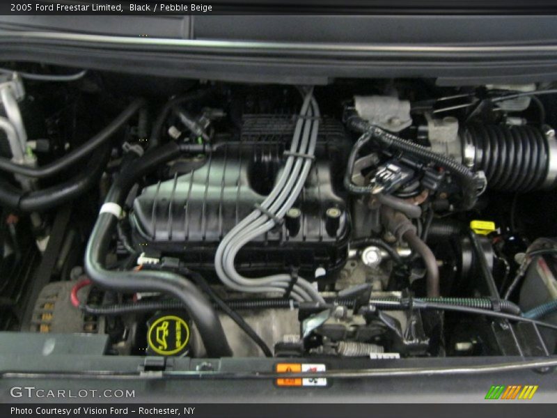 Black / Pebble Beige 2005 Ford Freestar Limited