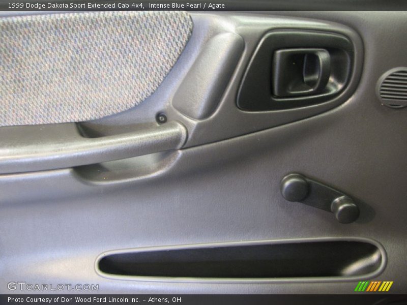 Door Panel of 1999 Dakota Sport Extended Cab 4x4