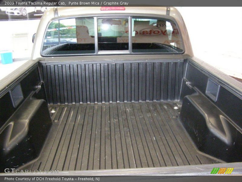 Pyrite Brown Mica / Graphite Gray 2009 Toyota Tacoma Regular Cab