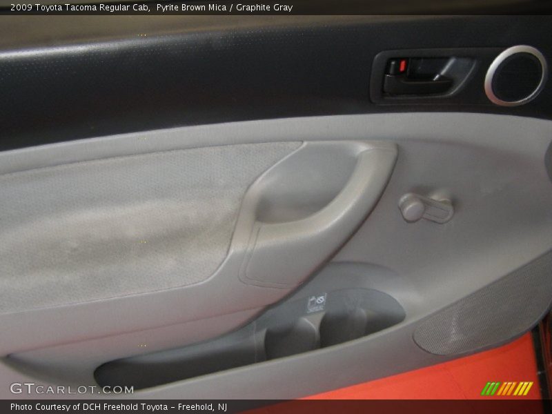 Pyrite Brown Mica / Graphite Gray 2009 Toyota Tacoma Regular Cab