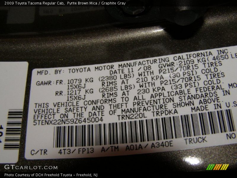 Pyrite Brown Mica / Graphite Gray 2009 Toyota Tacoma Regular Cab