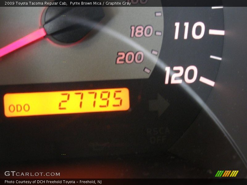 Pyrite Brown Mica / Graphite Gray 2009 Toyota Tacoma Regular Cab