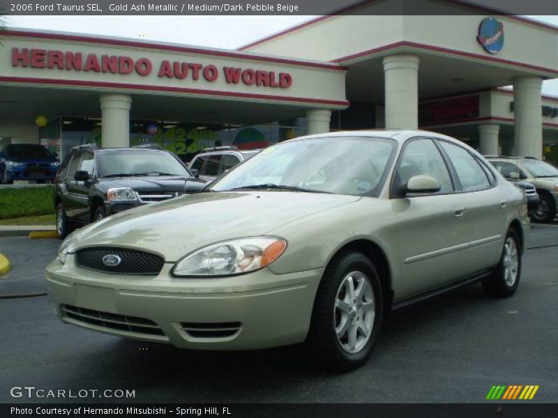 Gold Ash Metallic / Medium/Dark Pebble Beige 2006 Ford Taurus SEL