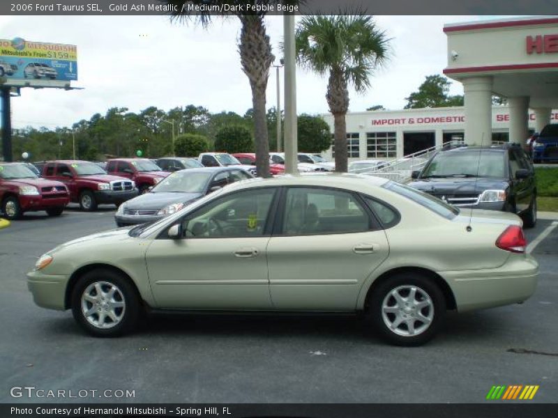 Gold Ash Metallic / Medium/Dark Pebble Beige 2006 Ford Taurus SEL