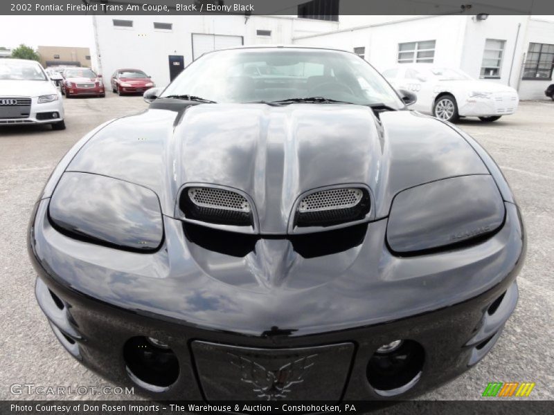 Black / Ebony Black 2002 Pontiac Firebird Trans Am Coupe