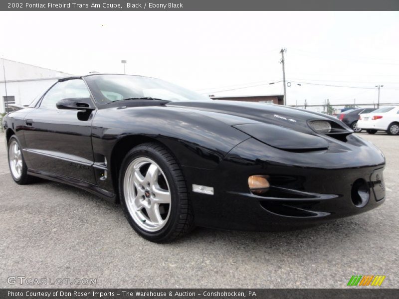 Black / Ebony Black 2002 Pontiac Firebird Trans Am Coupe