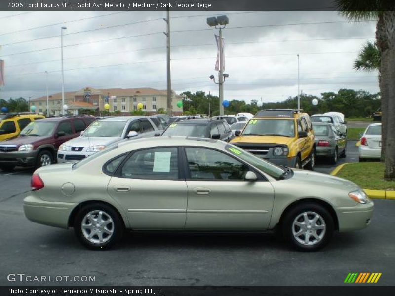Gold Ash Metallic / Medium/Dark Pebble Beige 2006 Ford Taurus SEL