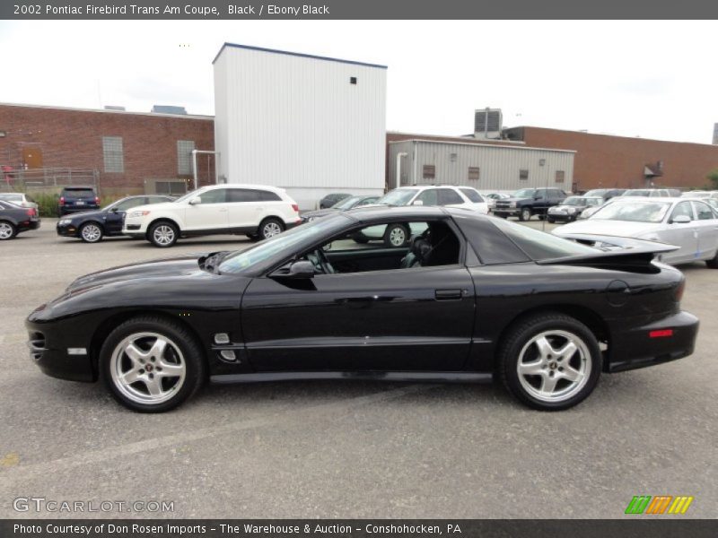  2002 Firebird Trans Am Coupe Black