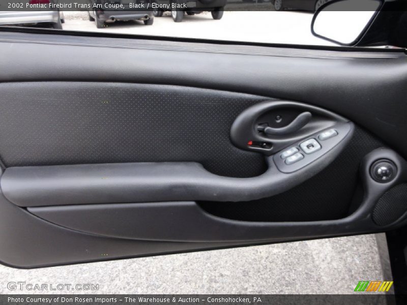Door Panel of 2002 Firebird Trans Am Coupe