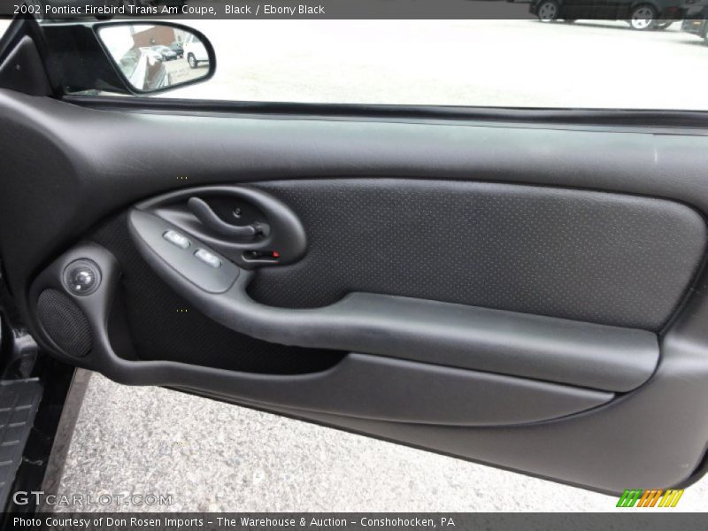 Door Panel of 2002 Firebird Trans Am Coupe