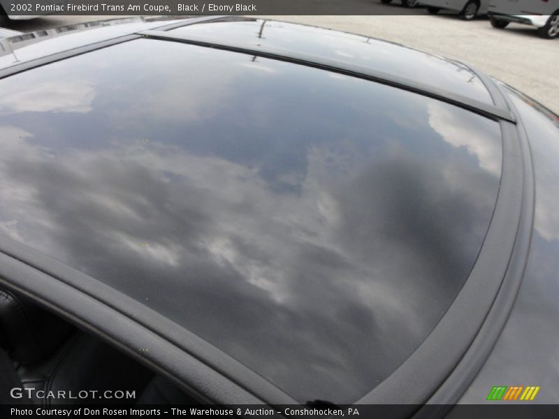 Black / Ebony Black 2002 Pontiac Firebird Trans Am Coupe