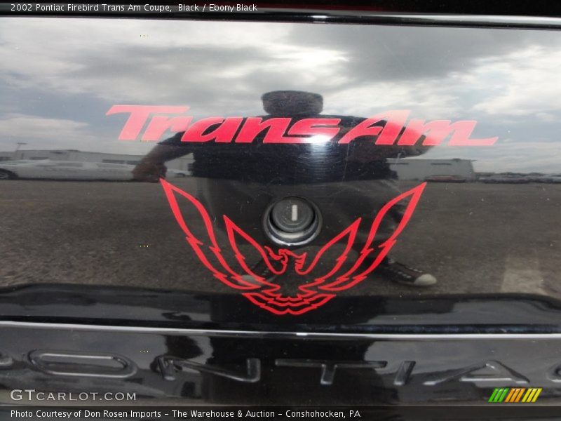 Black / Ebony Black 2002 Pontiac Firebird Trans Am Coupe