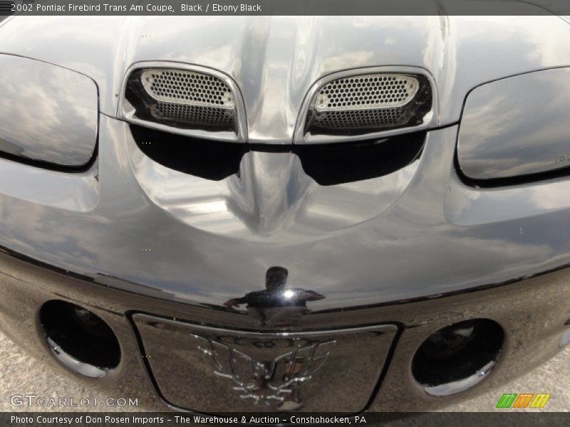 Black / Ebony Black 2002 Pontiac Firebird Trans Am Coupe