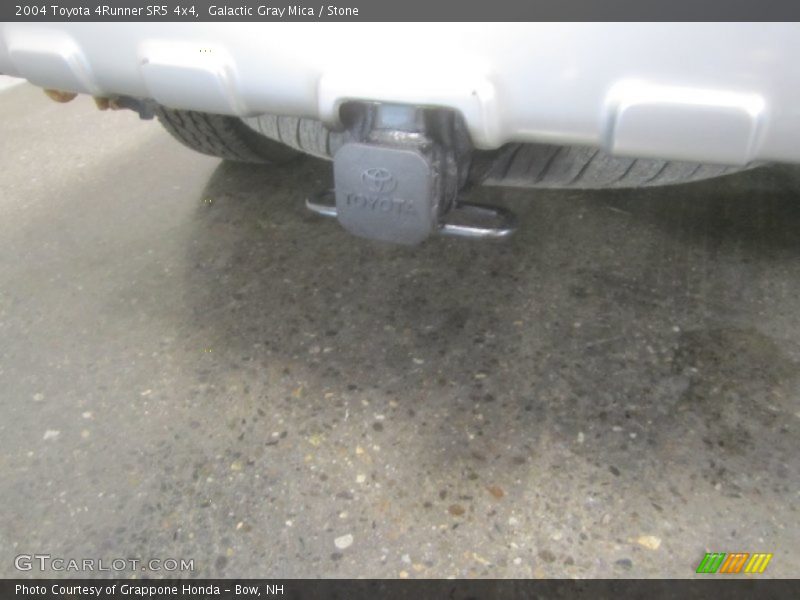 Galactic Gray Mica / Stone 2004 Toyota 4Runner SR5 4x4